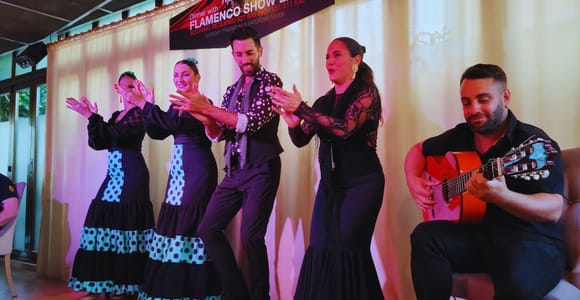 Fuengirola: Flamenco-Show & Abendessen im Tipi Tapa, in der Nähe von Mijas