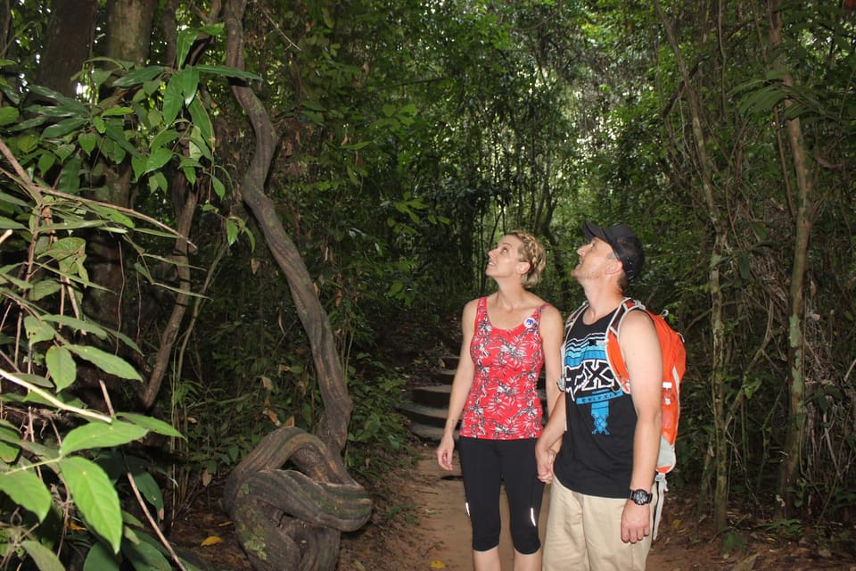 Ho Chi Minh Cu Chi Tunnels & Shooting Range Halfday Tour GetYourGuide