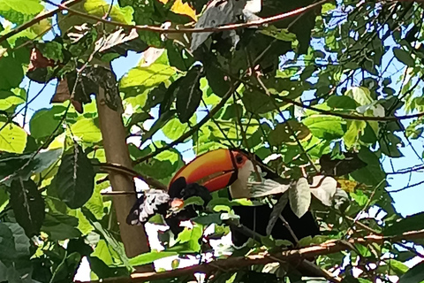 Z Puerto iguazu - prywatnie - wodospady iguassu po stronie brazylijskiej