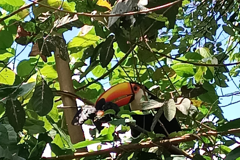 Van Puerto iguazu - privé - iguassu watervallen Braziliaanse kant