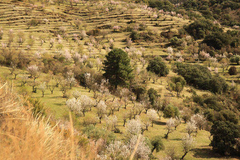 Granada: Tour in bicicletta della natura, della fauna selvatica e dei villaggi autentici