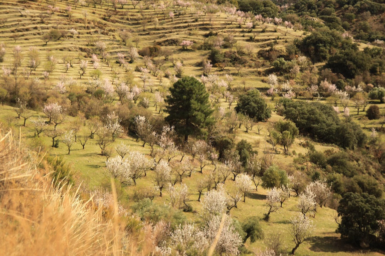 Granada: Tour in bicicletta della natura, della fauna selvatica e dei villaggi autentici