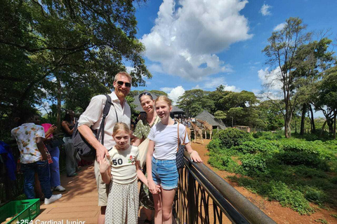 Nairobi: Giraffe Centre Visit and Giraffe Feeding Experience Nairobi: Interactive Giraffe Feeding & Wildlife Education