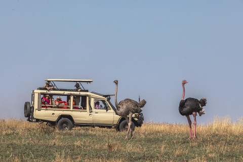 3-Day Maasai Mara Safari