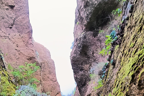 Canyoning Tenerife : Canyoning Los Arcos la Orotava