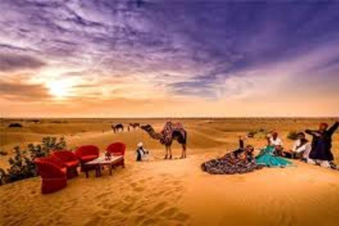 jeep safari JEEP OR CAMEL SAFARI RIDE TOUR in KHURI`S DESERT