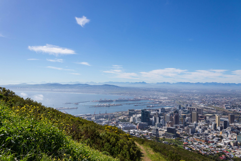 Kaapstad: privé dagvullende tour door de stad en de wijnlanden