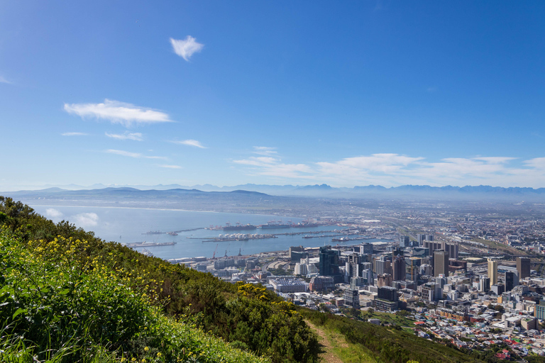 Kapstadt: Private Ganztagestour durch die Stadt und die Winelands