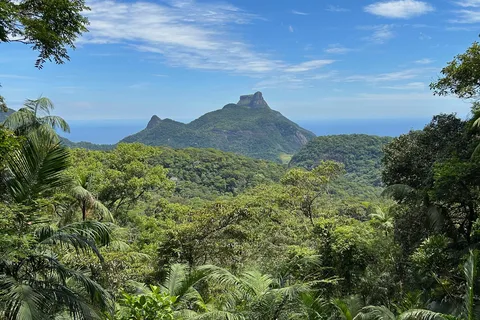 Rio de Janeiro: Tijuca National Park Tour