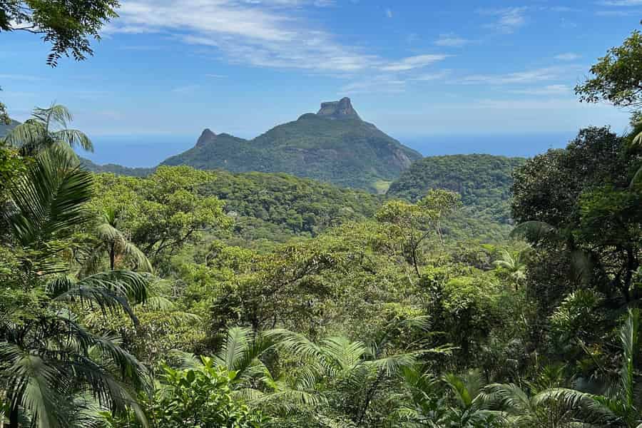 Rio de Janeiro: Tijuca National Park Tour. Foto: GetYourGuide