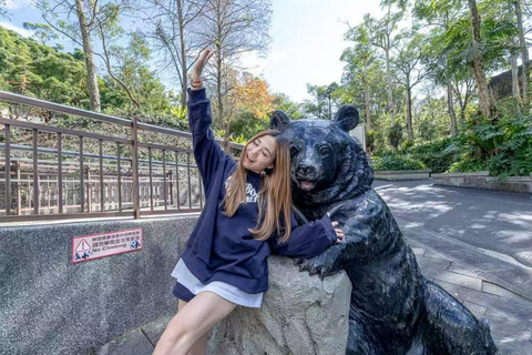 تايبيه: رحلة ليوم واحد إلى جندول ماوكونغ وحديقة الحيوانات ومدينة كيلونغرحلة مدتها 9 ساعات {سيارة عم