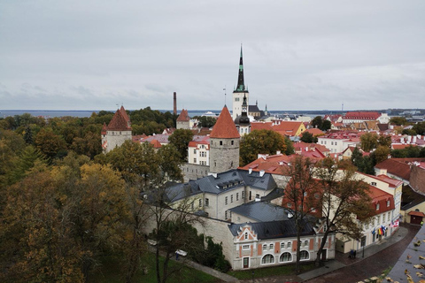 Individual excursion in Tallinn