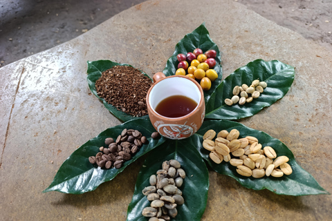 Cusco: Specialty Coffee Tasting-Sensory Experience (2 Hours)