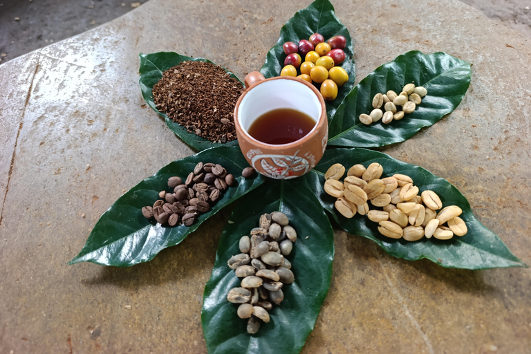 Cusco: Specialty Coffee Tasting-Sensory Experience (2 Hours)