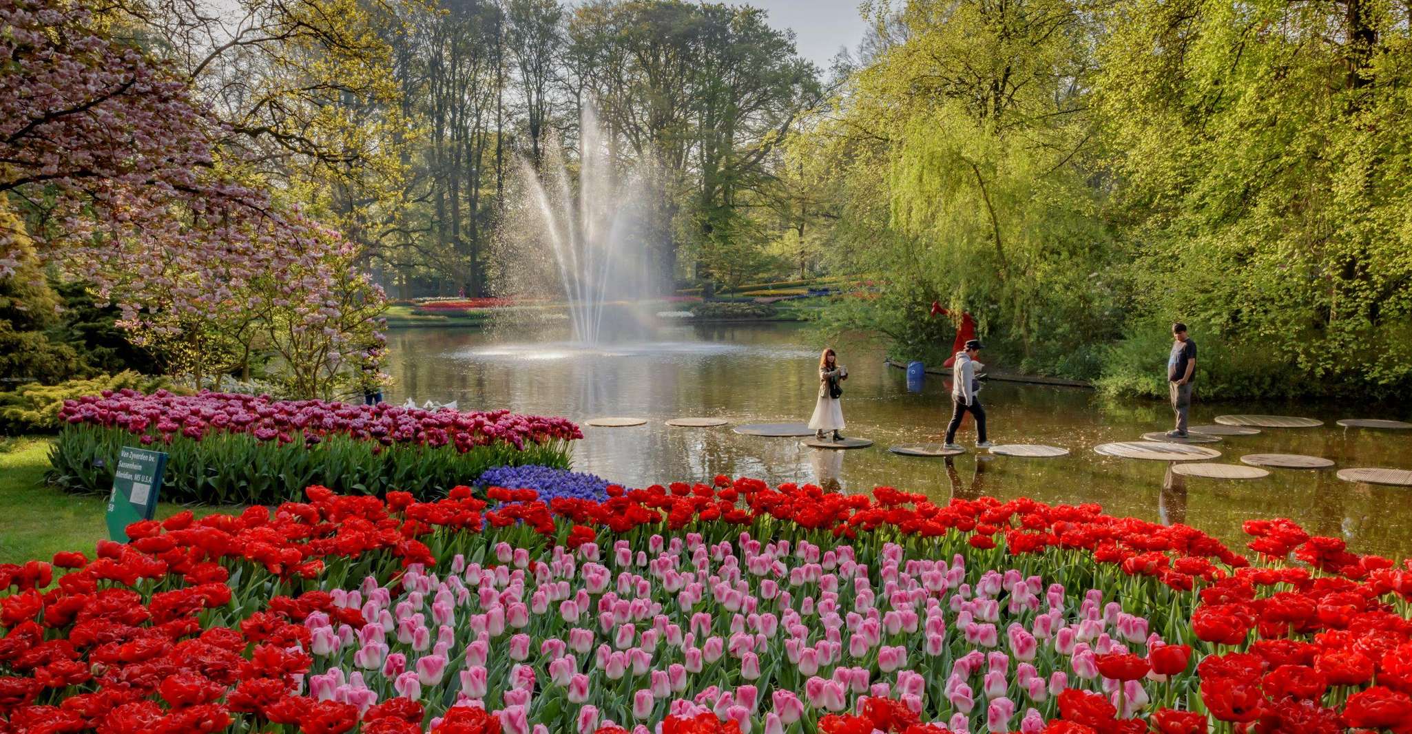 Amsterdam: Keukenhof Entry & Shuttlebus with Flexible Return photo 15