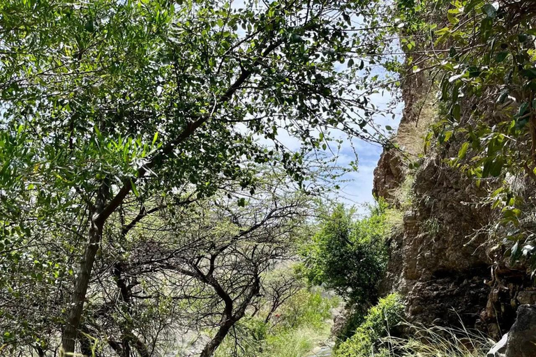 Full-Day Tour: Nizwa Fort, Barkat Al Mouz &amp; Jebel Akhdar