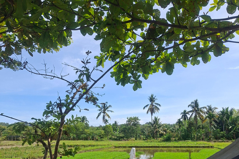 Bukit Lawang: Jungle Trek, River Tubing, and Village Tour