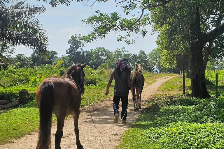 Passeio a cavalo em Krabi na praia e atv ExtremePasseios a cavalo na praia e atv Extreme