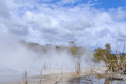 Private Day Tour - Hobbiton Movie Set, Rotorua & Treewalks