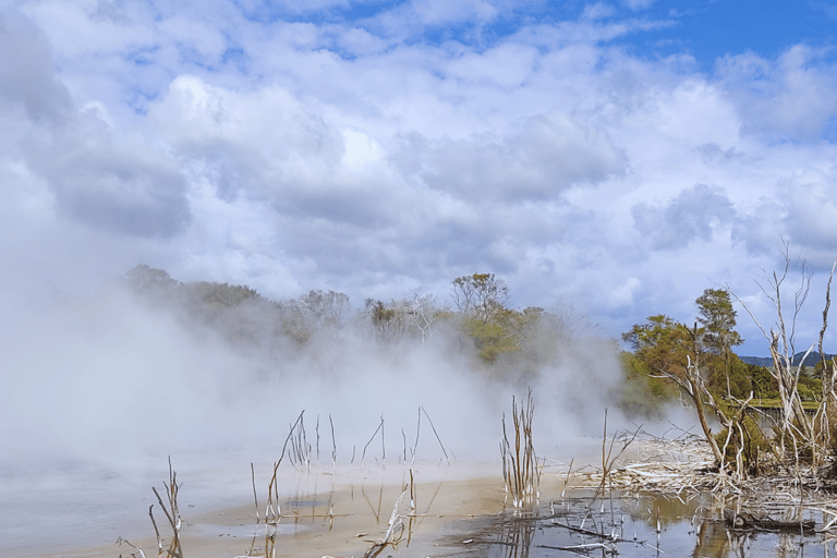 Private Day Tour - Hobbiton Movie Set, Rotorua & Treewalks