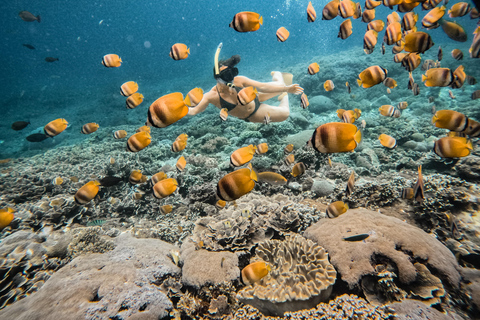 从巴厘岛出发：努沙佩尼达魔鬼鱼浮潜私人乘船观光共享游船之旅（含午餐，巴厘岛酒店接送服务）