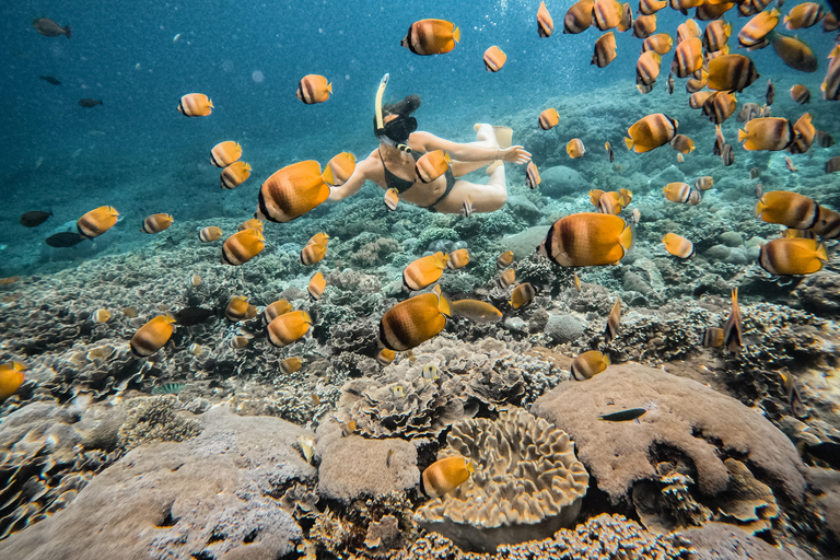 从巴厘岛出发：努沙佩尼达魔鬼鱼浮潜私人乘船观光共享游船之旅（含午餐，巴厘岛酒店接送服务）