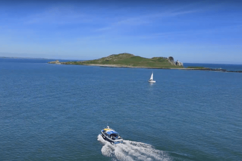 Dublín: Tour en barco por la Bahía de Dublín y el Ojo de Irlanda