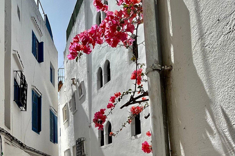 Visite privée de Tanger avec déjeuner et promenade à dos de chameau