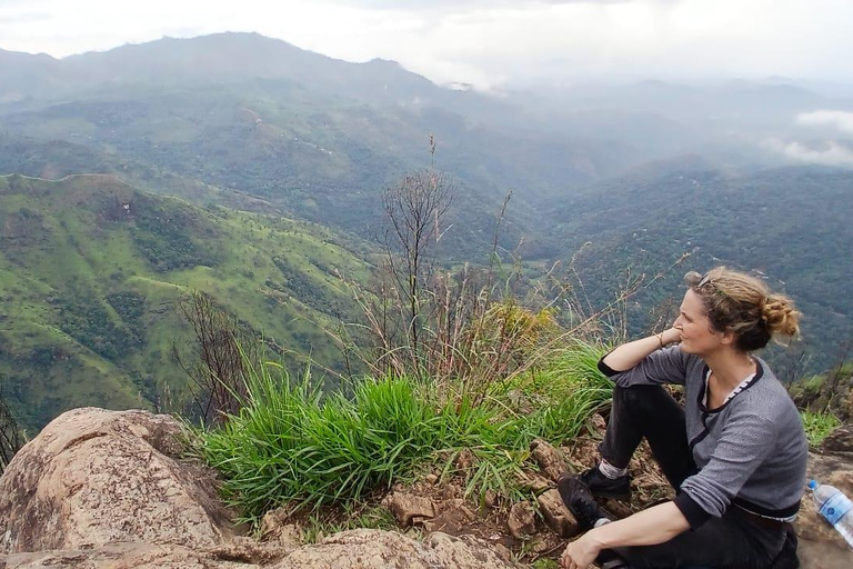 ELLA Lipton Seat Tea Test & Pluck 9Arch, Waterfalls, & Food Lipton's Seat, Little Adam Peak, 9 Arch, Ravana Waterfalls