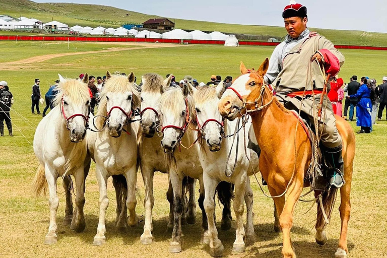 From Ulaanbaatar: Mongolian Naadam Festival Tour