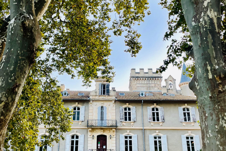 Tasting tour : The secrets of the vineyard Chateau Capion Tasting tour : The secrets of the vineyard Château Capion