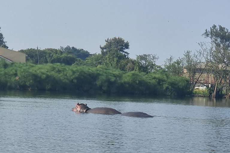 Lake Victoria Boat Tour with Hippo Watching