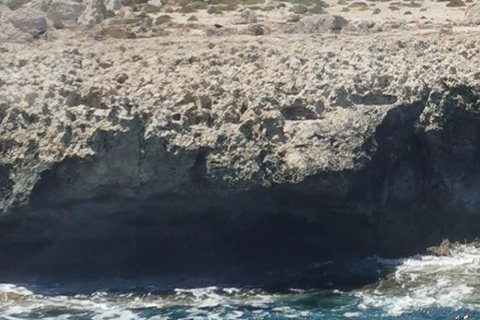 Ayia Napa: Crociera con la Laguna Blu e le tartarughe con pranzo opzionale