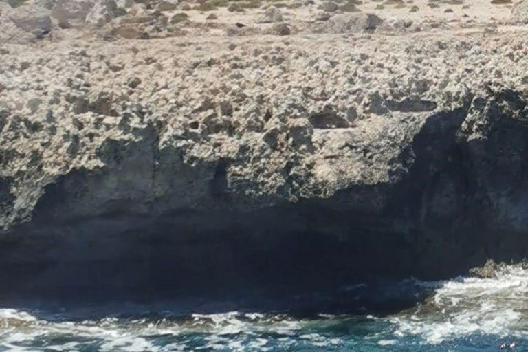 Ayia Napa : Lagon bleu et croisière pour les tortues avec déjeuner facultatif