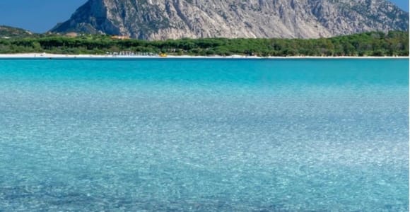 From Olbia Downtown: Grand Tour of the Tavolara Archipelago by RIB-Boat
