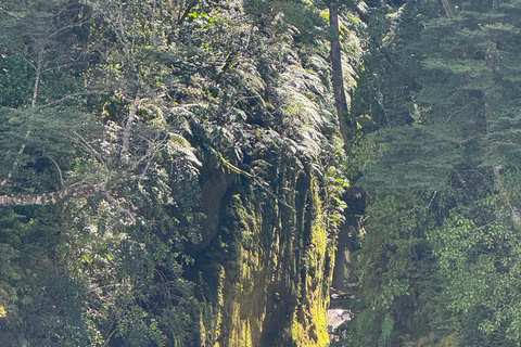 Discovery Cruise Te Anau Fiordland Discovery Cruise