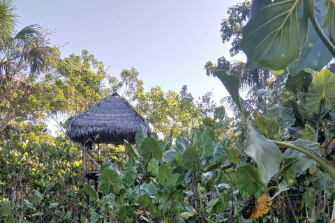 3-Day Amazon Expedition: Jungle, River & Wildlife Tour
