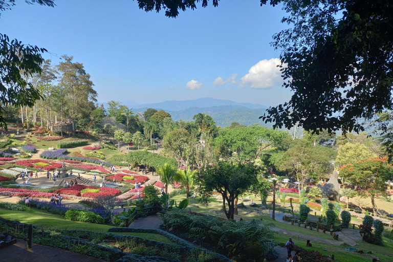 Chiang Rai: Mountains Discovery Doi Mae Salong & Doi Tung Mountains Discovery:Doi Mae Salong & Doi Tung (Private Tour)