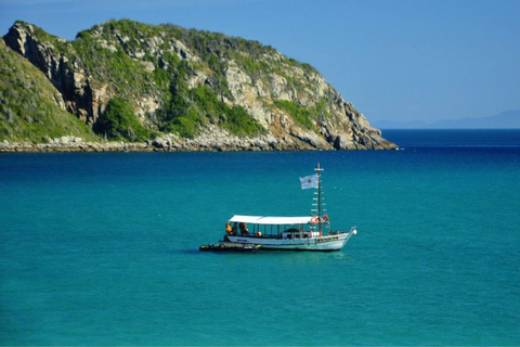 Arraial do Cabo: Special Boat Trip + City Tour Shared Boat and Private Transfer