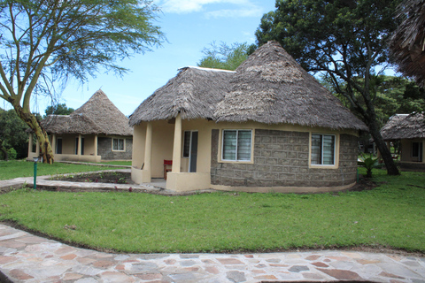 Safári de 3 dias em Masai Mara para pequenos grupos em Lodge