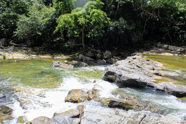 Punta Cana: Dominican Safari with Lunch and Horseback Riding