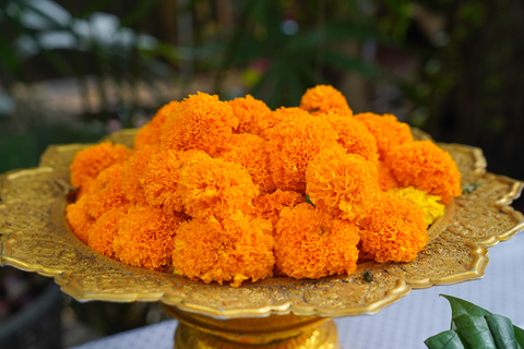 Bangkok Green Oasis Nature Bike Tour