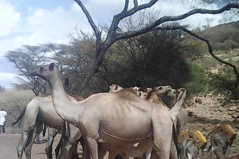 Addis Ababa: 6-Day Bale Mountains Guided Tour with Meals