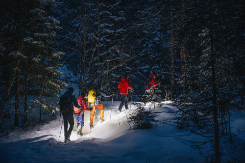 Oslo Forest: Mystery Nocturne Walk with Headlamps