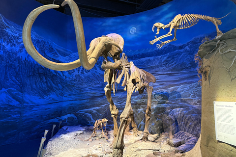 Calgary: Drumheller Day Trip with Royal Tyrrell Museum Entry