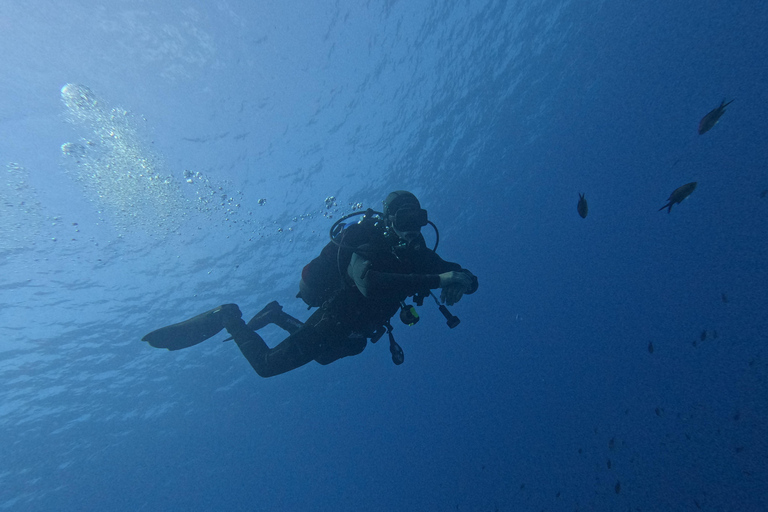 Napoli: Discover Scuba Diving in the Park of Baia Napoli: Double Discover Scuba Diving in the Park of Baia