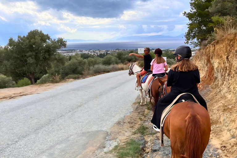 Kuşadası: VIP Horseback Riding and Sunset Beach Safari 3-Hour Sunset Forest & Village Safari