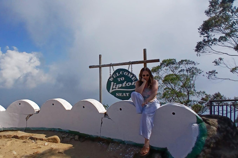 ELLA Lipton Seat Tea Test & Pluck 9Arch, Waterfalls, & Food Lipton's Seat, Little Adam Peak, 9 Arch, Ravana Waterfalls
