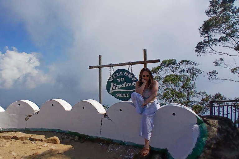 ELLA Lipton Seat Tea Test & Pluck 9Arch, Waterfalls, & Food Lipton's Seat, Little Adam Peak, 9 Arch, Ravana Waterfalls