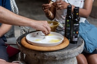 Piran, Walking Tour with Local Wine and Food Tasting - Housity